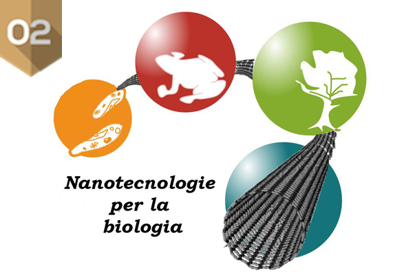 26/02/2016 Le nanotecnologie nel mondo della biologia Stefano Bellucci (INFN-LNF)