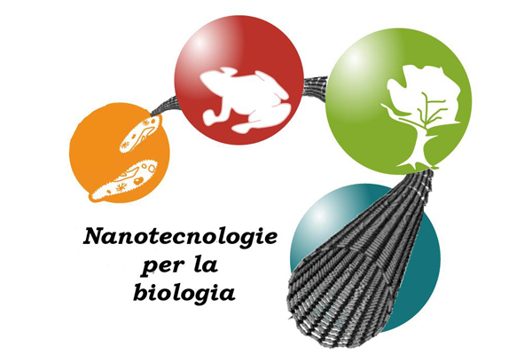 nanotecnologie_biologia